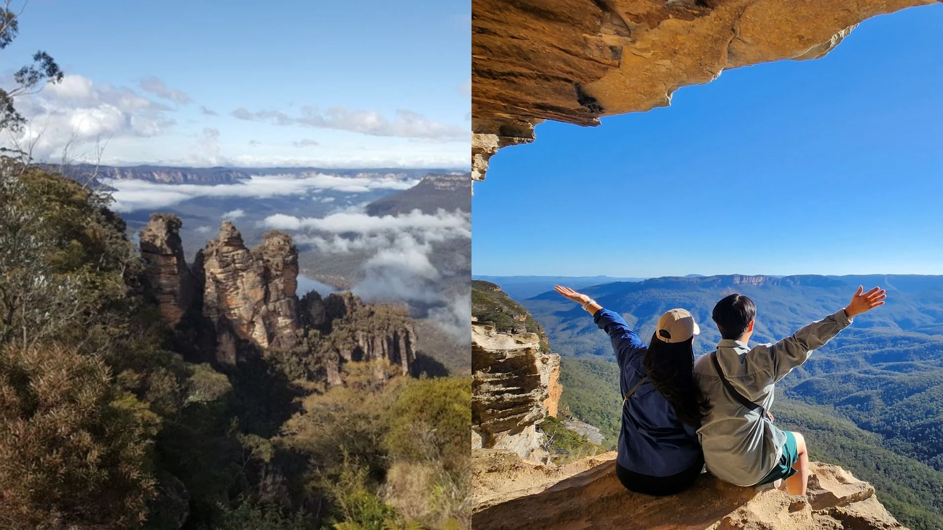 블루마운틴(Bule Mountains)