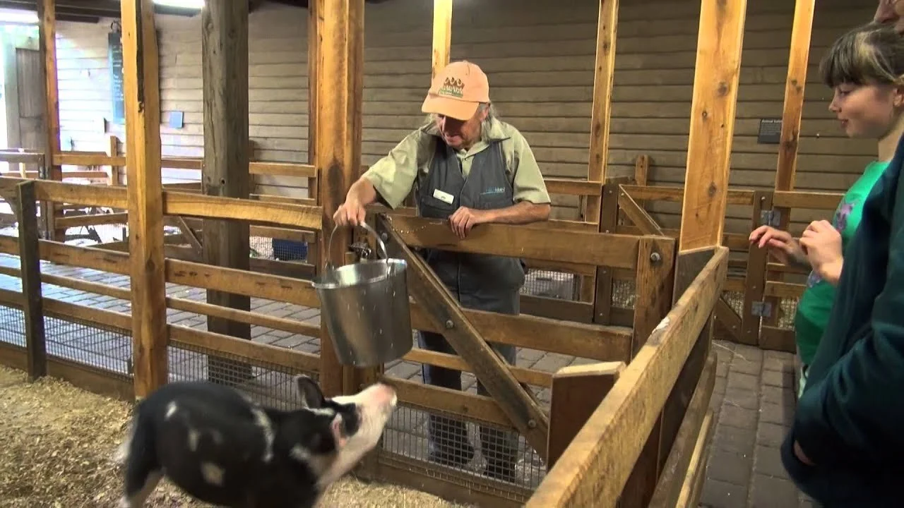 처칠섬 농장 (Churchill Island Heritage Farm)