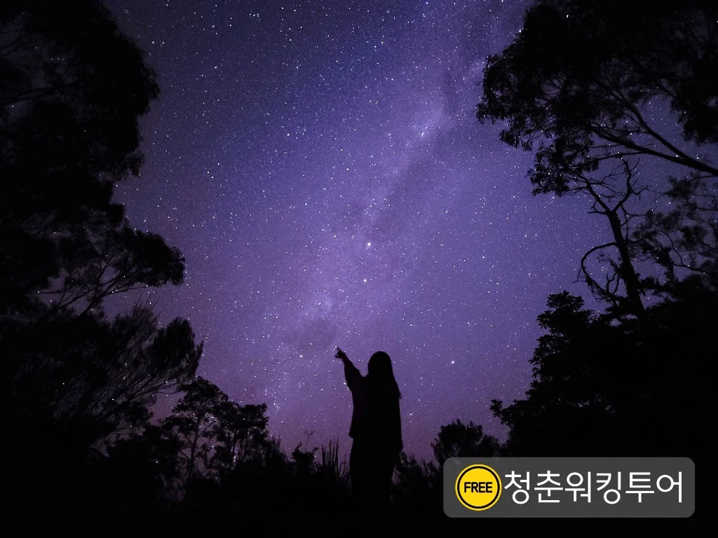 블루마운틴에서 즐기는 별이 빛나는 밤