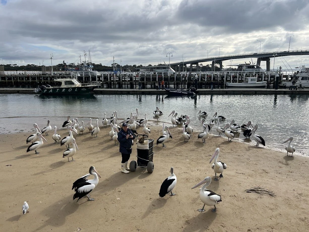 ✨오지나라투어만의 일정✨ 필립아일랜드 시크릿스팟 🦢