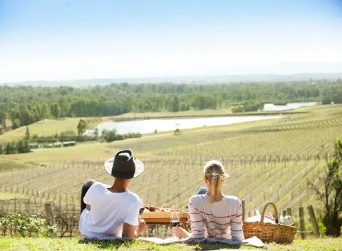 [놀러와시드니][시음비포함]마시러 가자/헌터밸리 호주 관광청 선정 MUST VISIT TOP3 와이너리 투어