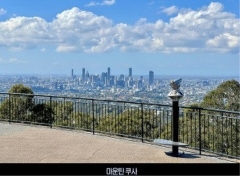 마운틴 쿠사